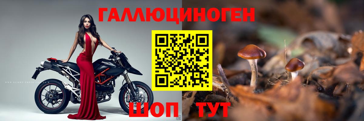 Псилоцибиновые грибы ЛСД Солнечногорск